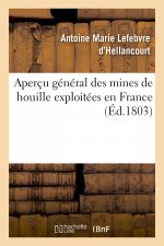 Apercu General Des Mines de Houille Exploitees En France