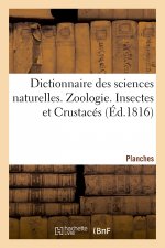 Dictionnaire Des Sciences Naturelles. Planches. Zoologie. Insectes Et Crustaces