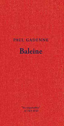 Baleine