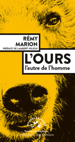 L'ours