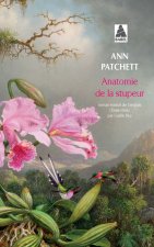 Anatomie de la stupeur