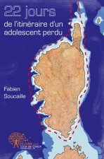 22 jours de l'itinéraire d'un adolescent perdu
