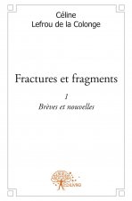 Fractures et fragments 1
