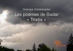 Les poèmes de badar « tristis »