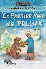Le premier noël de pollux