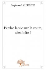 Perdre la vie sur la route, c'est bête !