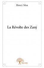 La révolte des zanj
