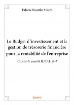 Le budget d’investissement et la gestion de trésorerie financière pour la rentabilité de l’entreprise