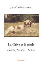 La grive et le merle