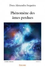 Phénomène des âmes perdues