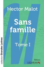 Sans famille (grands caractères)