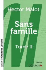Sans famille (grands caractères)