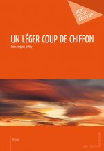 UN LEGER COUP DE CHIFFON