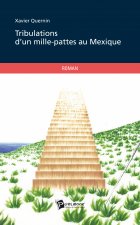TRIBULATIONS D'UN MILLE-PATTES AU MEXIQUE