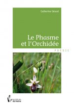 Le phasme et l'orchidée