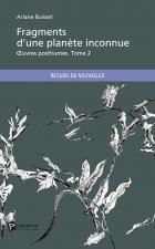 Fragments d'une planète inconnue