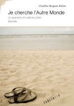 Je cherche l'autre monde - le quarante-et-unième cahier
