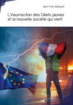 L'INSURRECTION DES GILETS JAUNES ET LA NOUVELLE SOCIETE QUI VIENT