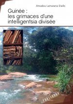 Guinée - les grimaces d'une intelligentsia divisée