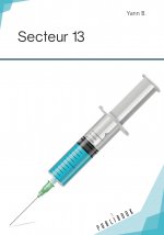 SECTEUR 13