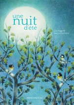 Une nuit d'été