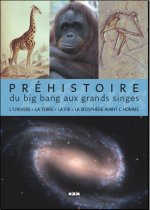 PREHISTOIRE, DU BIG BANG AUX GRANDS SINGES