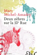 Deux zèbres sur la 30e Rue