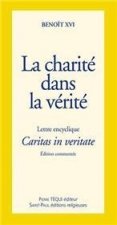 La charité dans la vérité - Caritas in veritate