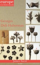 GEORGES DIDI HUBERMAN N 1069 MAI 2018