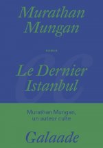 Le dernier Istanbul