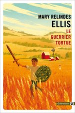 Le guerrier tortue