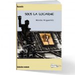 SOUS LA LUCARNE