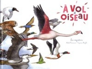 A VOL D'OISEAU - EDITION 2016