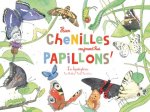 Hier chenilles,  aujourd'hui papillons ! (coll. ohé la science)