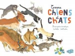 ENTRE CHIENS ET CHATS