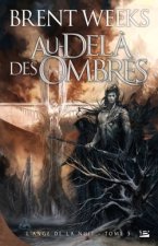 L'Ange de la Nuit T03 Au-delà des ombres