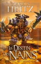 Le Destin des Nains T01 Le Gouffre Noir