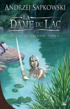 La Saga du Sorceleur T05 La Dame du lac