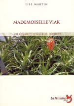 mademoiselle viak : chronique d'un ko debout