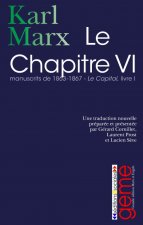 Chapitre VI (Le)