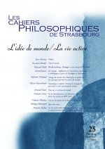 CAHIERS DE STRASBOURG, N. 25 L IDEE DE MONDE / LA VIE ACTIVE
