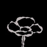 QUI SE CACHE SOUS LES FLEURS ?