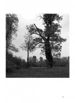 Etre Arbre