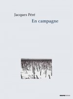 En campagne. Lettres d'Etienne Vernaz (1893-1914)