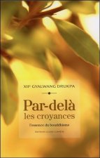 Par-delà les croyances - L'essence du bouddhisme