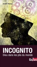Incognito - Dieu dans les plis du monde
