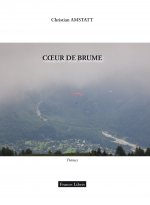 Coeur de brume