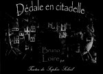 Dédale en citadelle