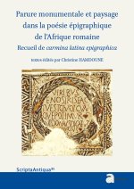 PARURE MONUMENTALE ET PAY