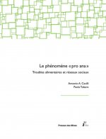 Le phénomène 